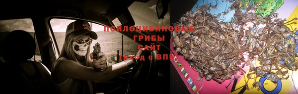 сатива Белоозёрский
