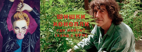 сатива Белоозёрский
