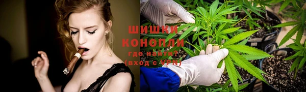сатива Белоозёрский