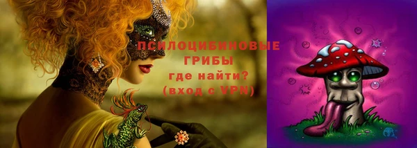 гидра Белокуриха
