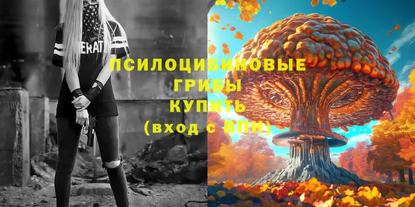 гидра Белокуриха