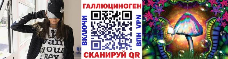 Псилоцибиновые грибы Psilocybe  Энем 